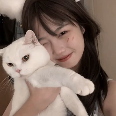 战鼓之翼九游版下载