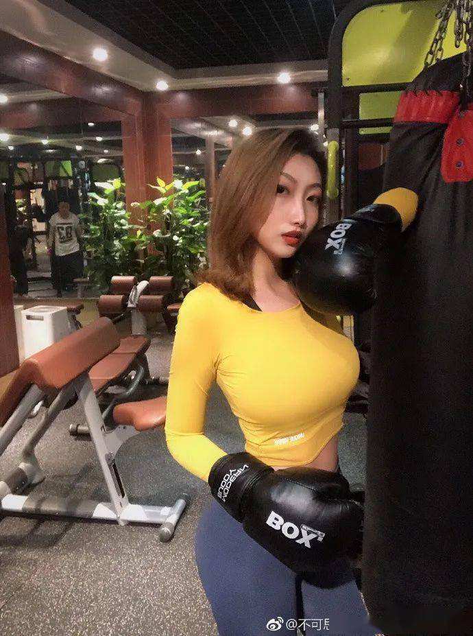 艾罗大陆破解版下载
