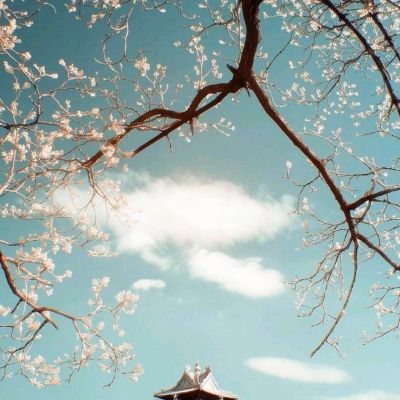不死不眠内购破解版下载